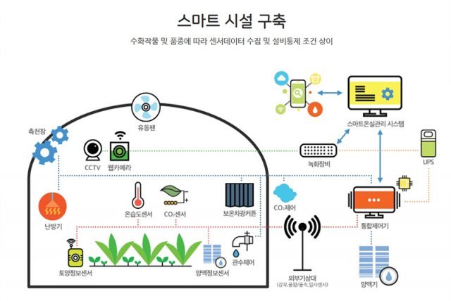 [농업이 IT(잇)다] 김희찬 제이디테크 “바나나 스마트팜으로 제주도 일자리, 고령화, 디지털 전환 해결
