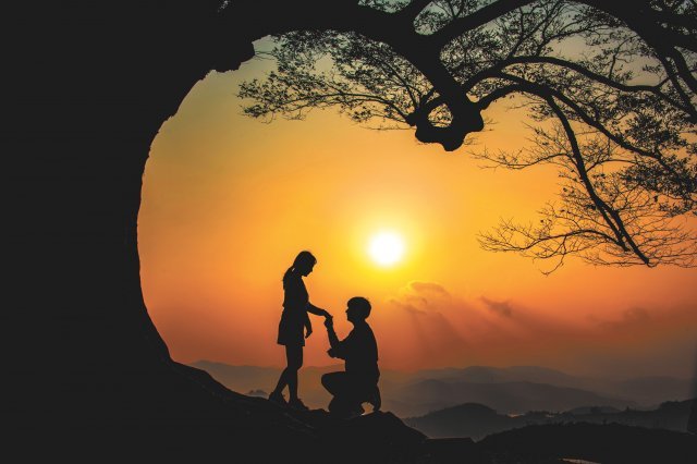 연인 손잡고 ‘찰칵’… 성흥산에 사랑걸렸네