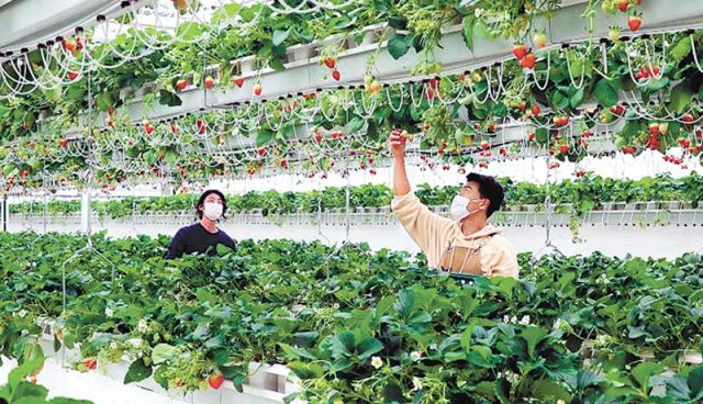 관리법부터 재배품목까지… “청년 부농의 꿈 스마트팜으로 이루세요”