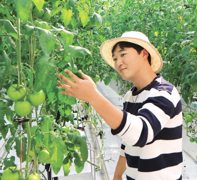 감자농사꾼이 스마트팜 경영인으로… “재배-유통-마케팅 망라 사업모델 꿈”