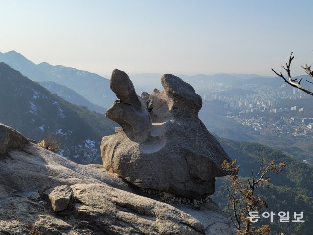 겨울산에서 만난 옥토끼,  쌍토끼…  지혜로운 토끼처럼 높이 뛰어보자[전승훈의 아트로드]