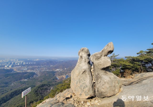 겨울산에서 만난 옥토끼,  쌍토끼…  지혜로운 토끼처럼 높이 뛰어보자[전승훈의 아트로드]