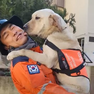 붕대 푼 구조견 토백이…“즐겁고 건강하게 운영”(영상)