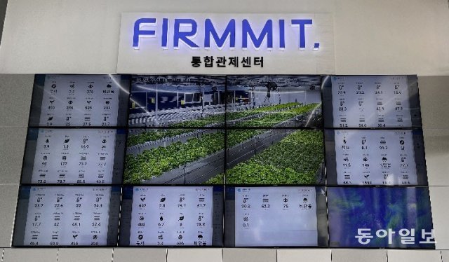 빠른대출