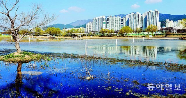 [현장속으로]부전∼마산 복선전철 건설현장 인근 ‘삼락생태공원 체육시설’ 물바다