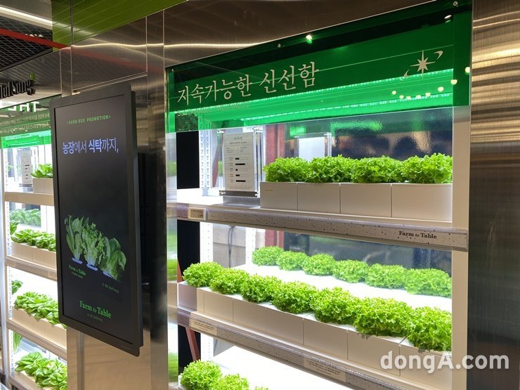 [르포] 스마트팜, 참치 해체쇼, 로봇 치킨까지… ‘미래형 마트’ 직접 가보니