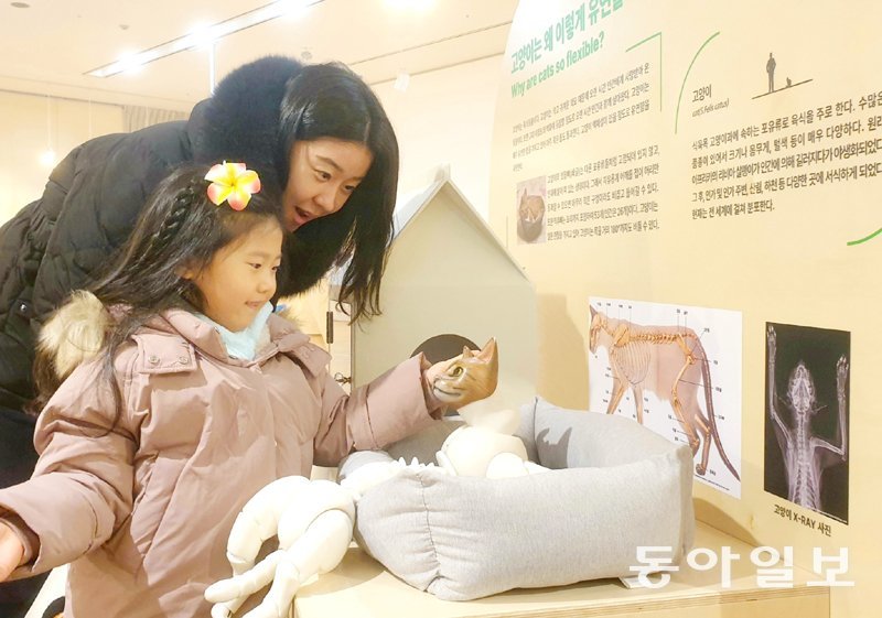 “고양이는 왜 유연할까요”