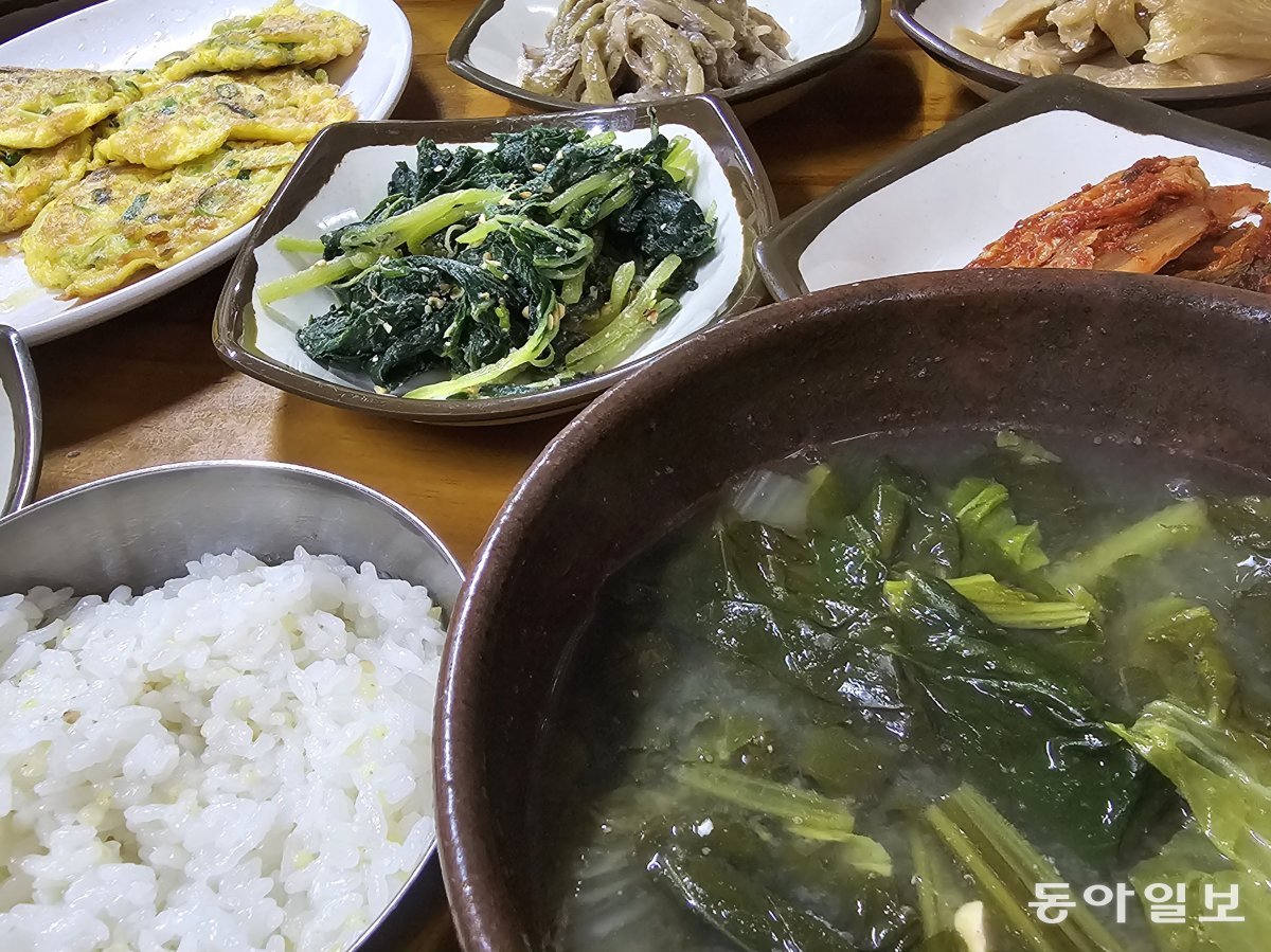 남도의 세월 품은 비밀의 정원, 길손을 반긴다 [김선미의 시크릿가든]