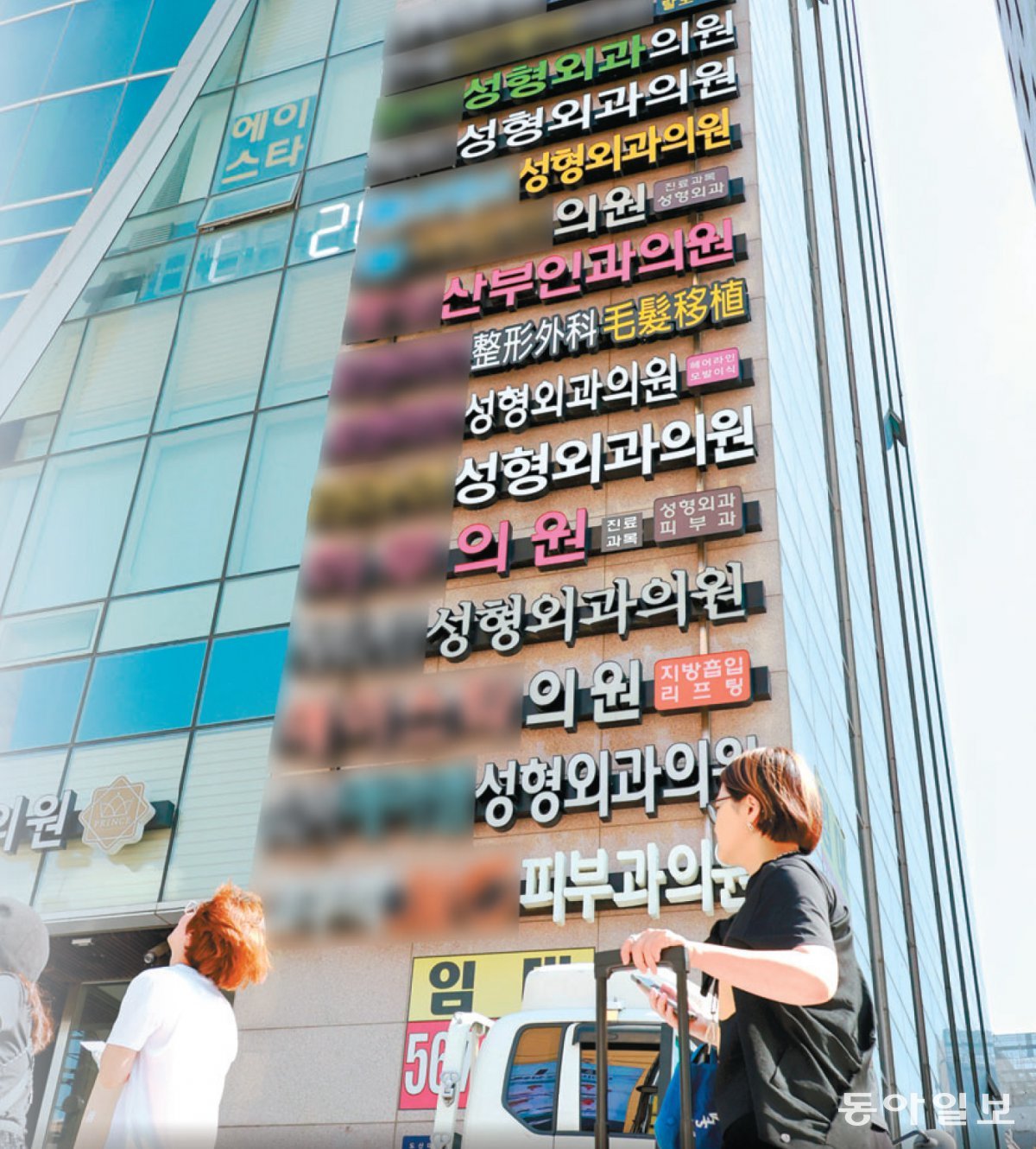의원급 취업 일반의 591명중 341명 ‘피안성정’ 몰려