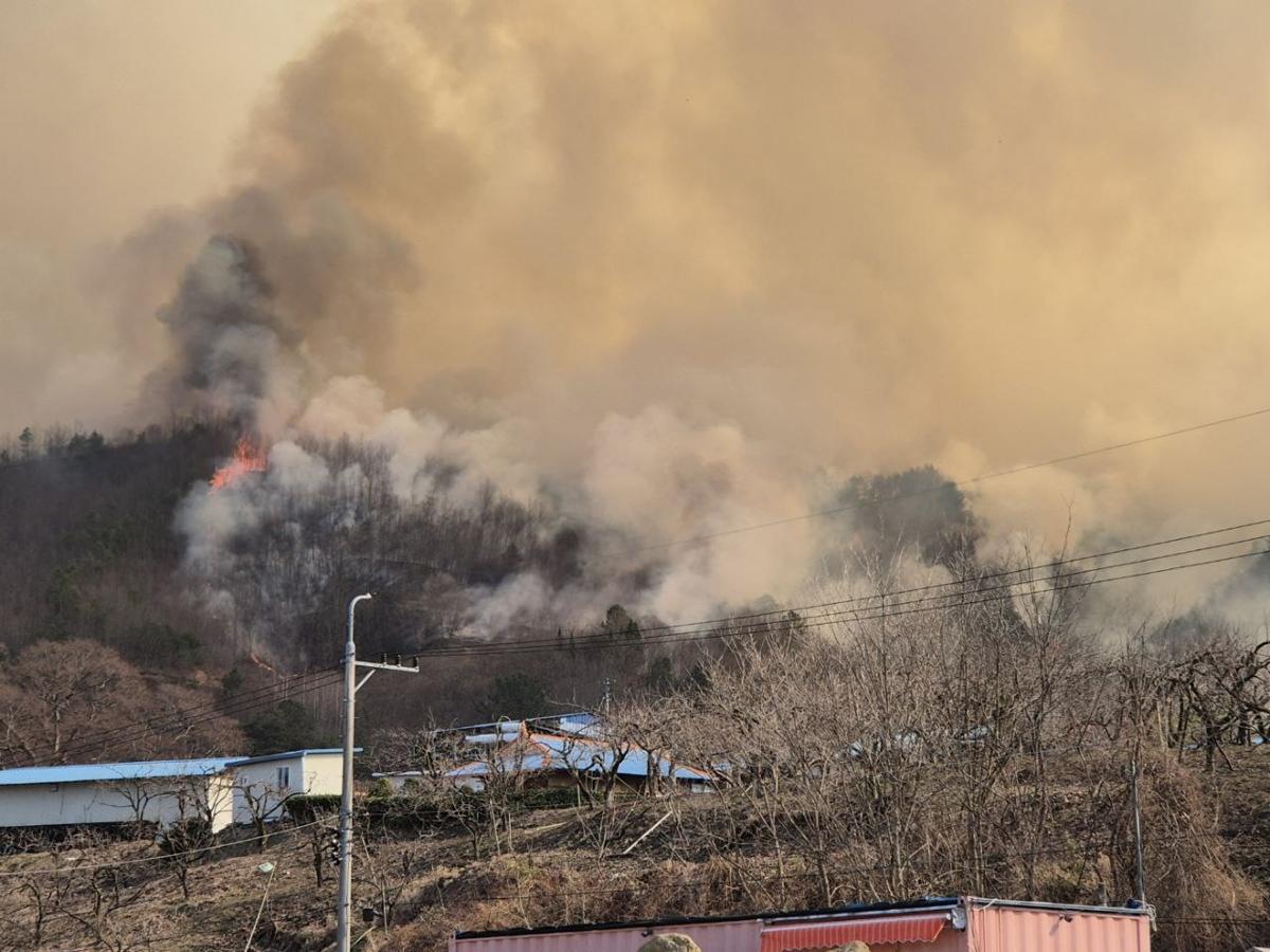 전국 동시다발 산불에 ‘재난사태’ 선포…사망 4명으로 늘어