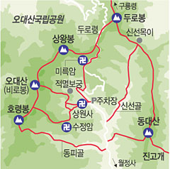 ‘肉山’ 오대산 묵직한 맛이 한창이다