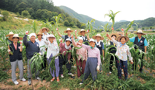 <‘1사1촌’ 세상을 바꾼다>‘암반수 옥수수·온천수 감자’에 반했어요