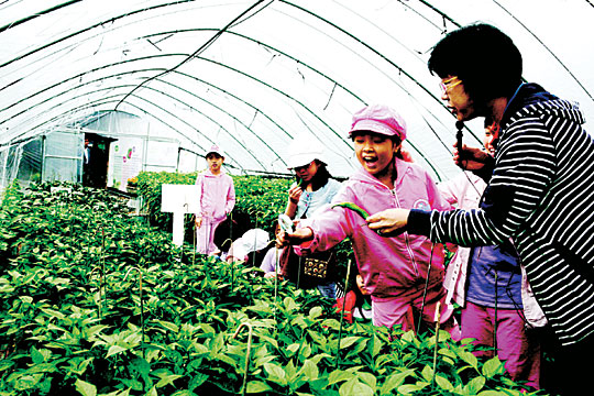 도심속 농사 ‘로컬푸드’ 열기