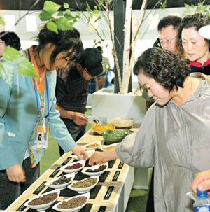 피로에 心身 지친 당신… 떠나요 ‘힐링투어’