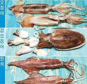 <힐링푸드>나쁜 콜레스테롤 녹이는 ‘쫄깃한 삼형제’