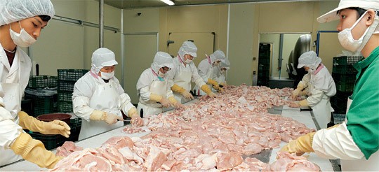 <‘공생발전’ 2013 현장 리포트>온라인몰 입점뒤 배송물량 하루 100건 급증