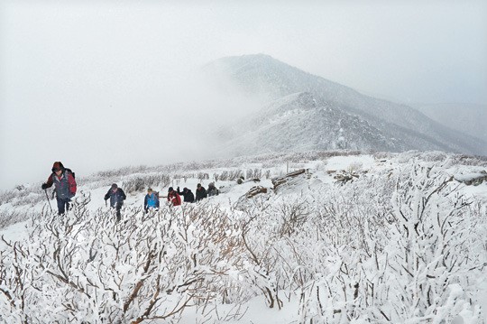 <엄홍길 대장과 오르는 山>숨겨진 ‘눈꽃 나라’… 찾는 이 적어 더 ‘순백’이더라