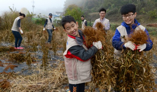 <1사1촌이 행복시대 이끈다>봄에 직접 심은 콩 수확… “農心 알게 됐어요”