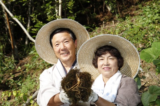 제값 못받던 산더덕·산양삼 품질 인증에 판로까지 개척