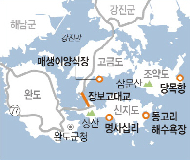 신지도·고금도·조약도 가는 길·먹을 것·묵을 곳