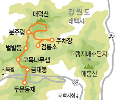 정선 & 태백 ‘야생화기행’ 가는길 묵을곳 먹을것