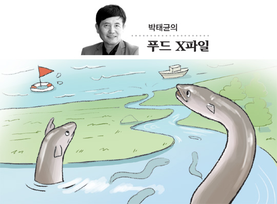 <박태균의 푸드 X파일>장어 ‘비타민A’ 함량, 육류의 200배