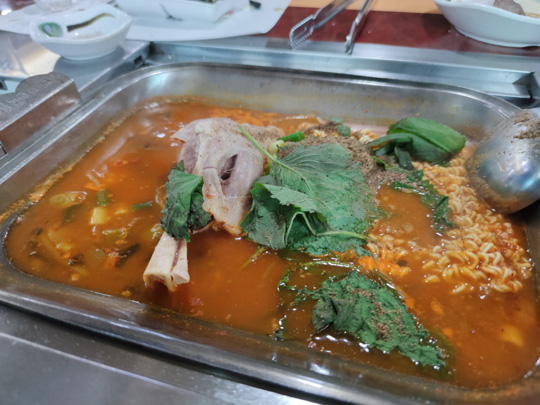 <이우석의 푸드로지>양꼬치 넘어 징기스칸·훠궈까지… 인기 절정이램~