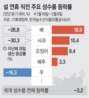 ‘안꺾이는’ 농산물값 할인에 300억 지원