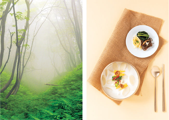 한국선 ‘산 쇠고기’… 외국선 ‘악마의 풀’… 물에 불리고 데치면 독성은 대부분 제거[정주영이 만난 ‘세상의 식탁’]
