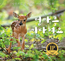 [아동]갓 태어난 아기사슴 꿋꿋한 홀로서기