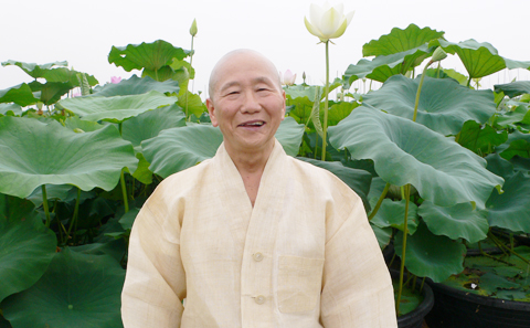 연꽃과 나누는 無慾의 대화