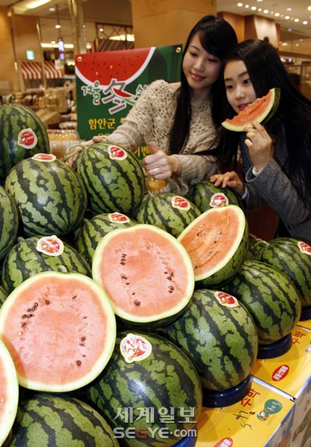 겨울철에 먹는 수박, 참외 맛은 어떨까