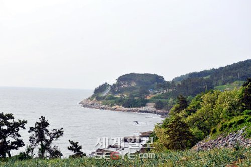 푸른 바다·기암괴석 어우러진 백수해안도로 낭만 드라이브
