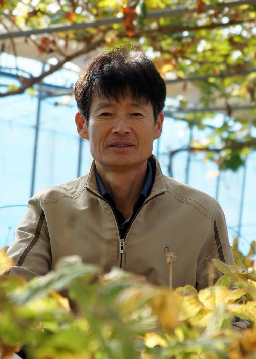 유기농인삼 재배 성공한 이옥신씨