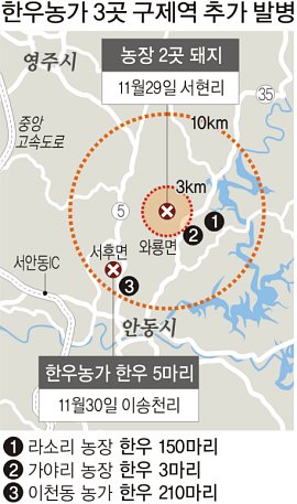 안동 구제역 ‘방역망’ 뚫렸나
