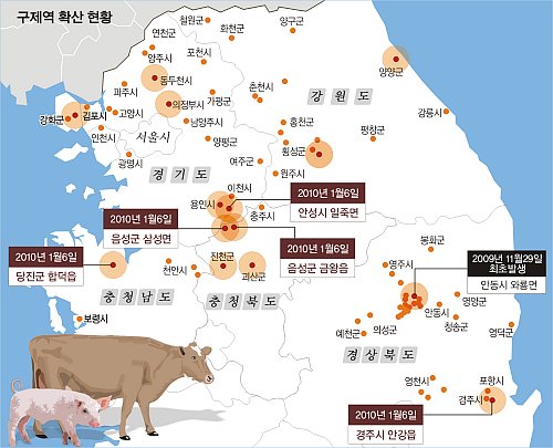 “자식같은 소·돼지를 … 웬 날벼락”