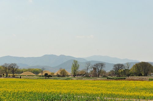 한국드림관광, 주왕산-청량산과 대구- 경주-포항 1박2일 상품 출시