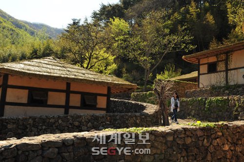 기적소리 들으며 섬진강변 따라 추억 여행