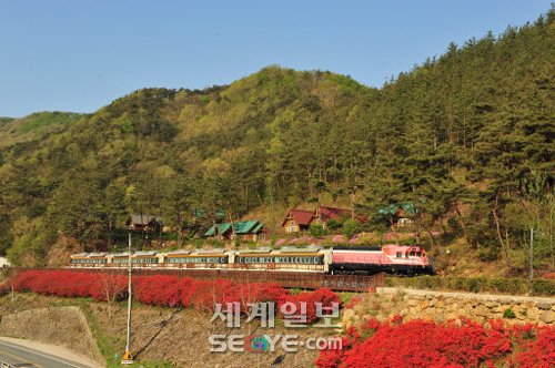 기적소리 들으며 섬진강변 따라 추억 여행