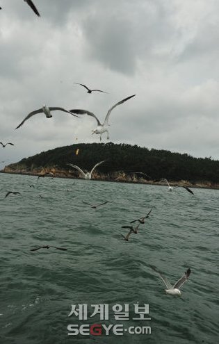 금빛 모래사장 펼쳐진 섬 해수욕장 솔바람 그윽