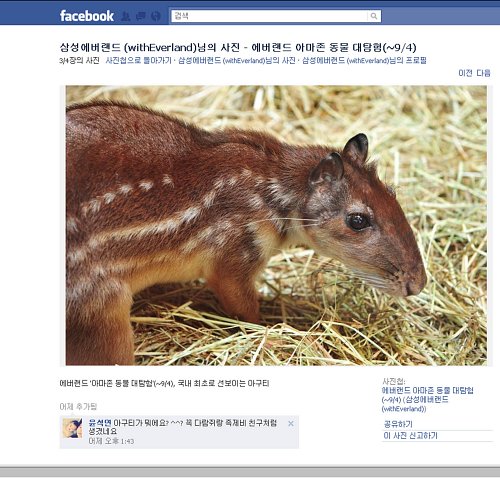 레저업계 SNS 마케팅 하나로 通하다