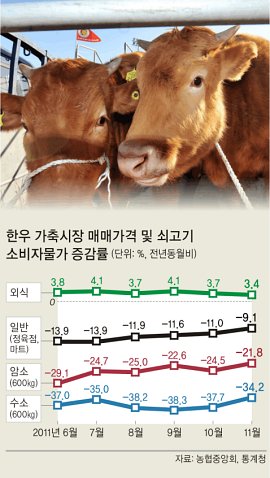 사육두수 관리 실패 ‘예견된 폭락’… 소도 울고 농민도 울고