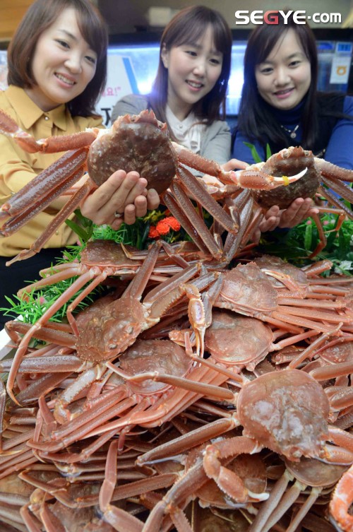 [포토] 동해산 대게 맛보세요