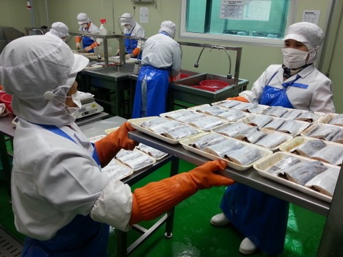 고맙다! 우체국 쇼핑… 제주 수산물 판매 활기