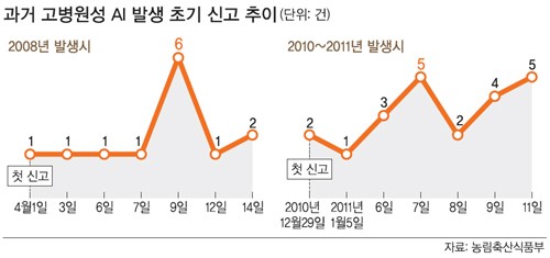 AI 바이러스 잠복기 8∼9일… 주말이 고비
