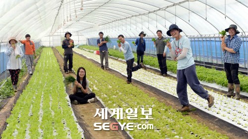 청춘이 힘! 농촌에서 꿈을 펴는 젊은 농부들