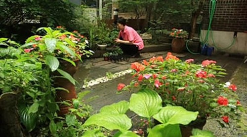 팍팍한 도심속의 쉼표 ‘나만의 미니 정원’