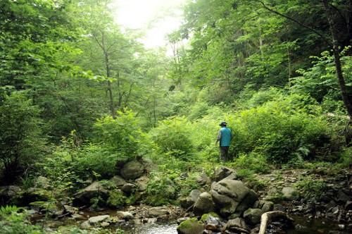 [여행] ‘명승’ 지정된 양양~홍천 구룡령 옛길
