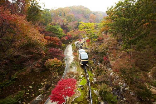 [레저단신] 김유정역 등 ‘3색 가을여행’ 열차 운행 외