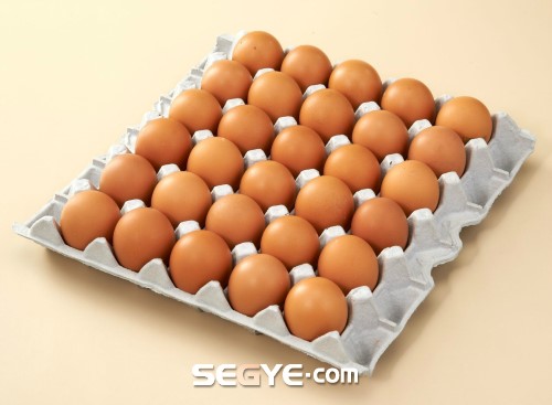 [김현주의 일상 톡톡] 닭이 먼저, 달걀이 먼저?